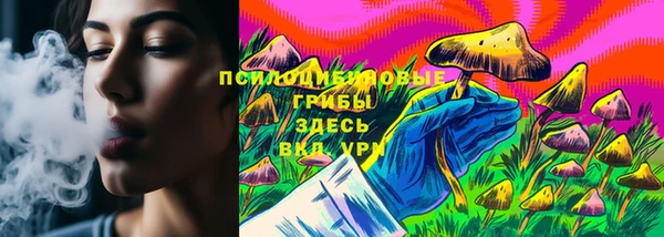 альфа пвп Нижневартовск