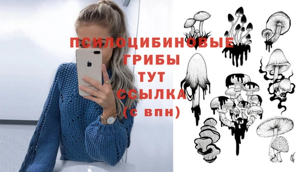 круглые Лагань