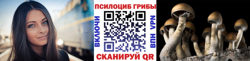 Галлюциногенные грибы мухоморы  цены   Нурлат 