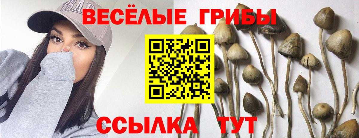 Галлюциногенные грибы прущие грибы  Вход с VPN  Псилоцибиновые грибы ЛСД  Нурлат 