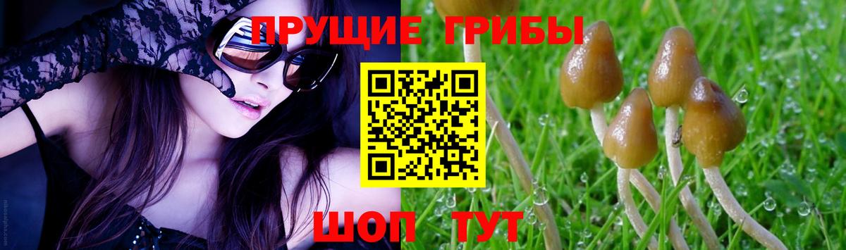 Псилоцибиновые грибы прущие грибы Нурлат