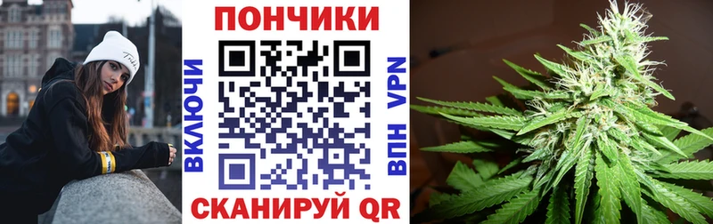 Конопля индика  Нурлат 