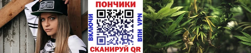 Каннабис SATIVA & INDICA Нурлат